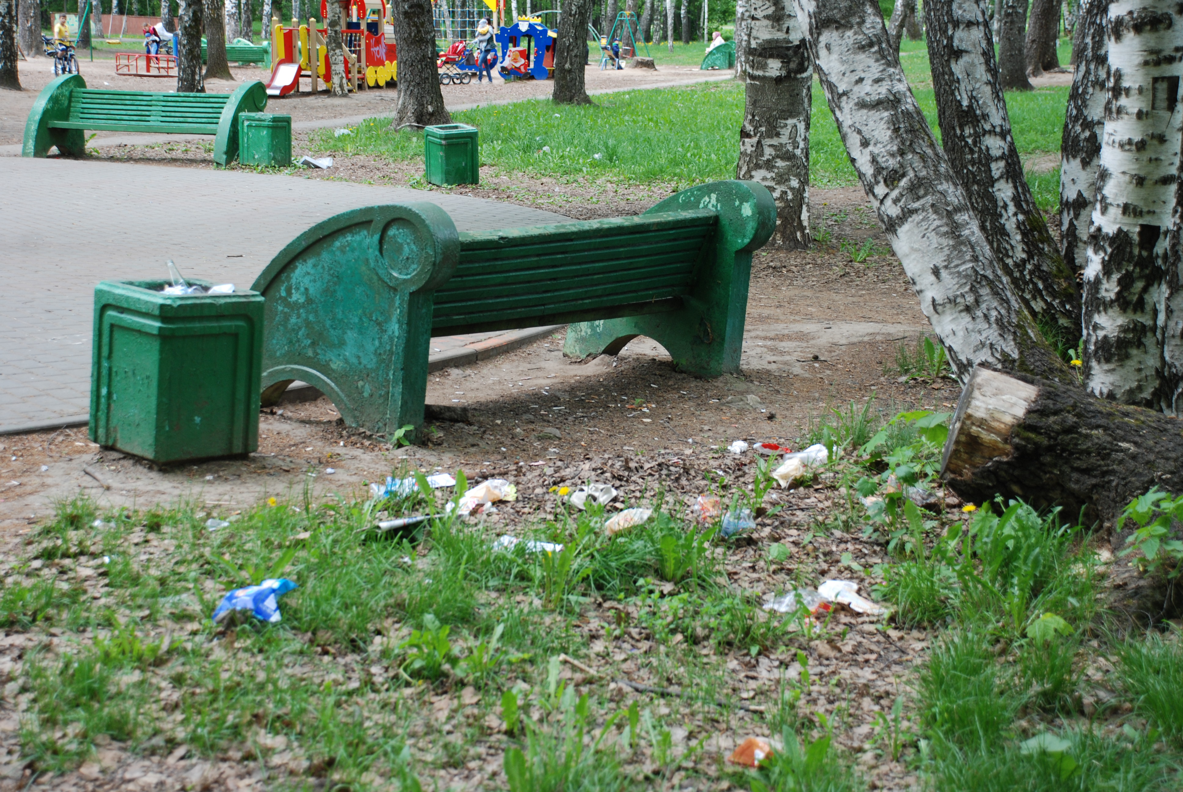 Зеленые легкие города: возможно ли спасти парки Нижнего Новгорода - фото 1