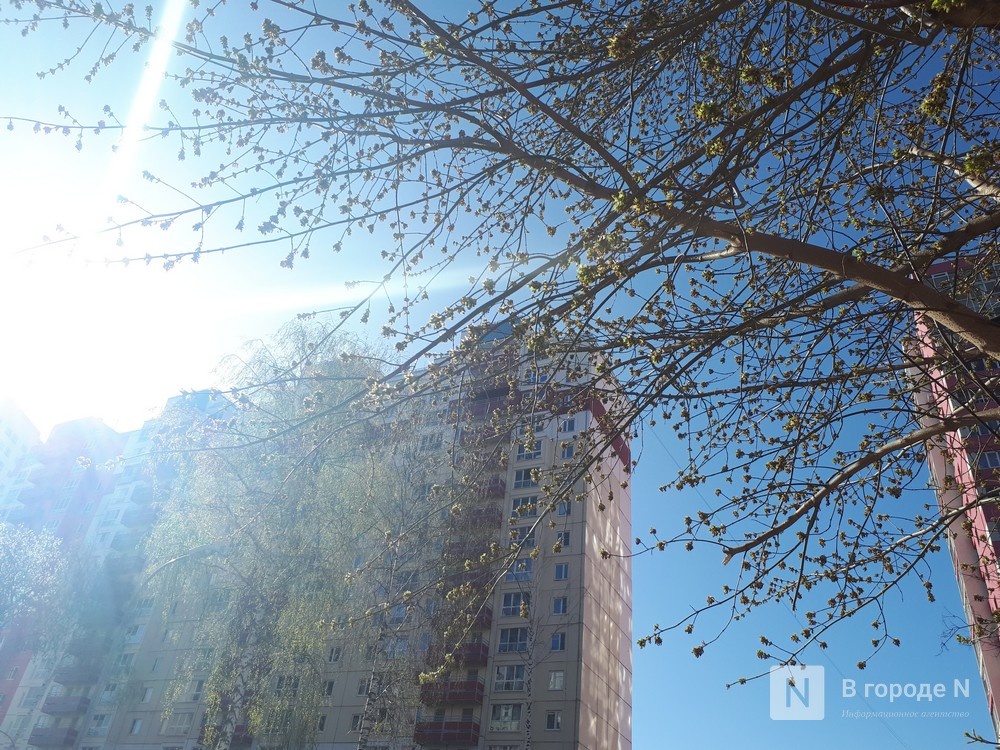 Синоптик Мокеева пообещала нижегородцам весеннюю оттепель в феврале - фото 1