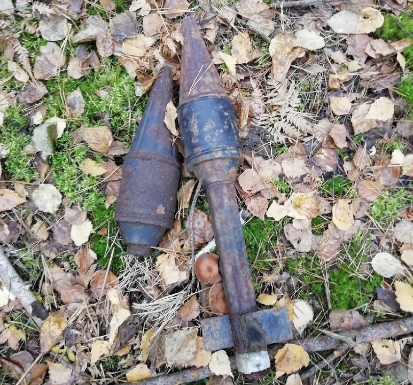 Около семи боеприпасов обнаружили грибники в нижегородском лесу - фото 1