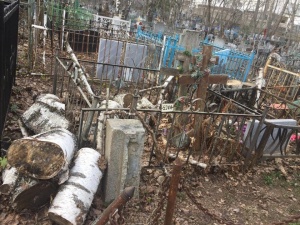 Управление нижегородских кладбищ признало факт захламления ветками могил в «Марьиной роще»