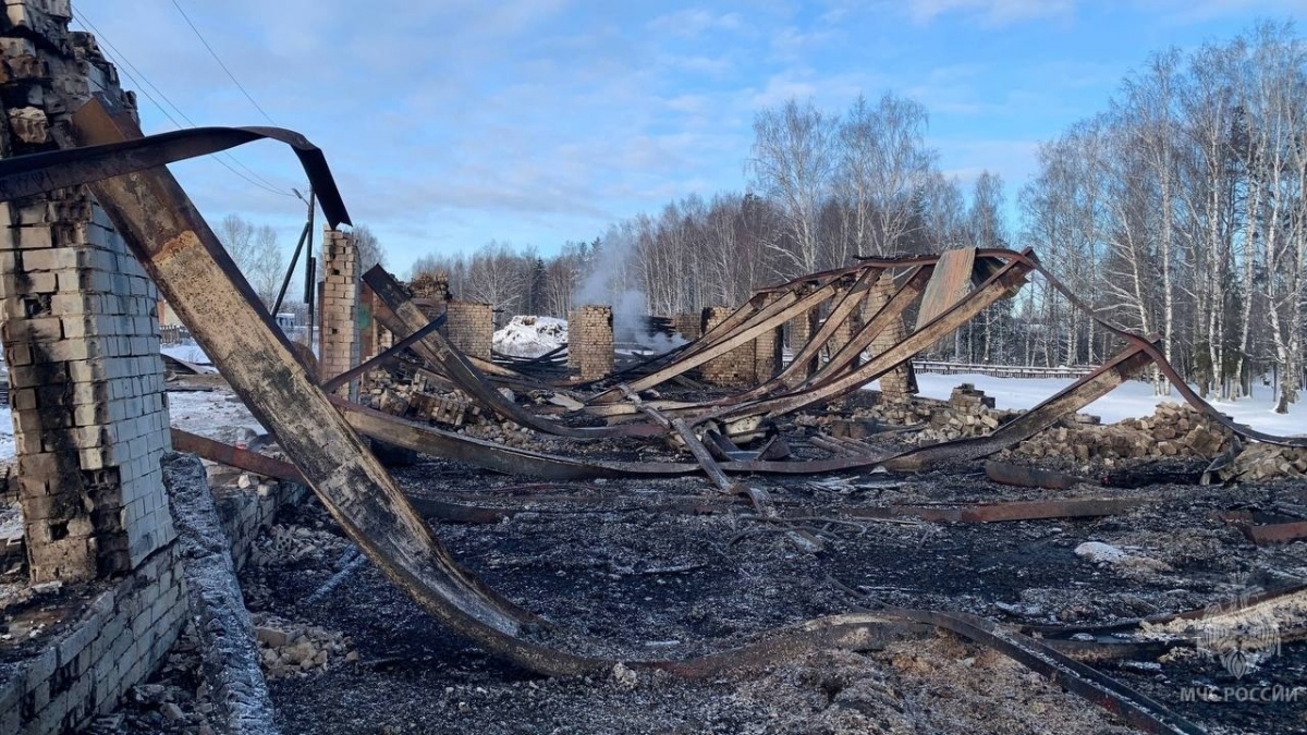 Более 50 животных погибли на пожаре в Нижегородской области - фото 1