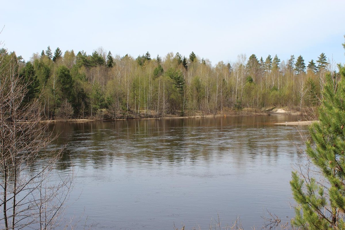Вода на реке Керженец Нижегородская область