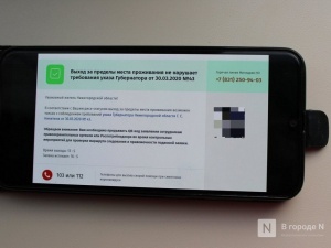 Телефон для подтверждения выхода на улицу во время самоизоляции заработал в Нижегородской области