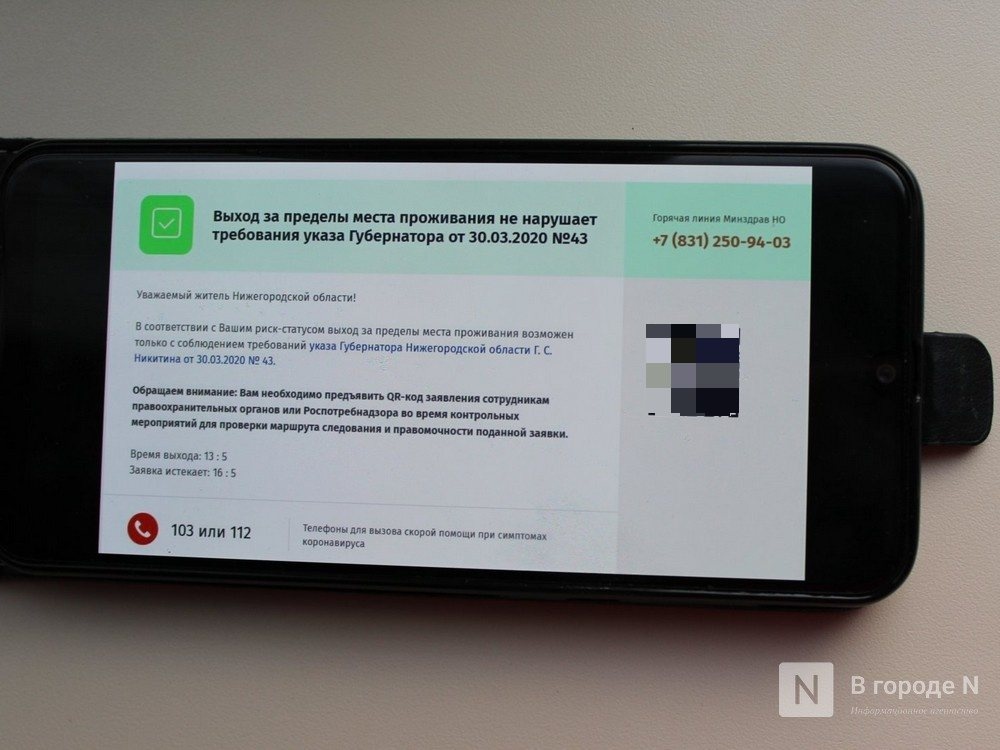 Телефон для подтверждения выхода на улицу во время самоизоляции заработал в Нижегородской области - фото 1