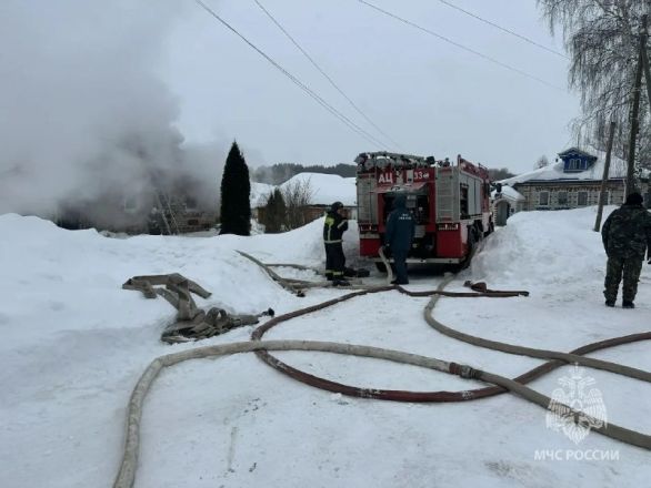 Двое маленьких детей погибли на пожаре в Нижегородской области - фото 1