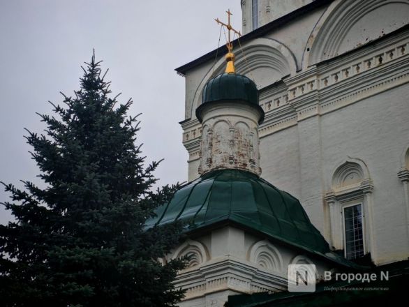 Опубликованы фото старейших каменных церквей Нижегородской области - фото 6