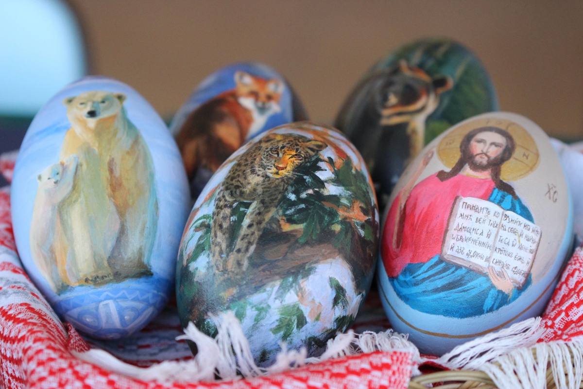 Яйца эму раскрасили к Пасхе в нижегородском &laquo;Лимпопо&raquo; - фото 1