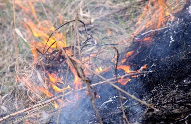 За сутки в Нижегородской области произошло 29 возгораний сухой травы