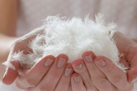 Как выбрать зимнюю одежду: советы от Роскачества