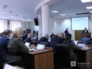 Дума поддержала условия налогообложения для жителей Новинок после присоединения к Нижнему Новгороду