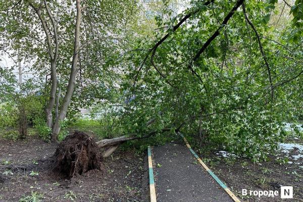 Ветер сорвал крышу дома и повалил деревья в Арзамасе
