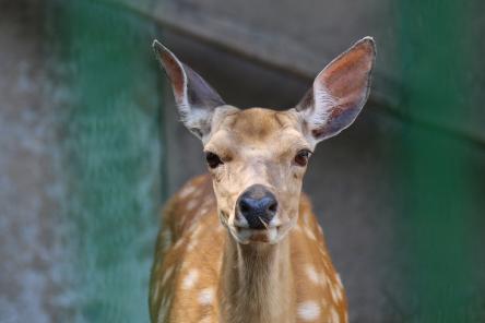 Две стороны одного зоопарка (ФОТО)