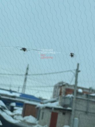 Неизвестный мужчина расстрелял автомобиль в Нижнем Новгороде - фото 1