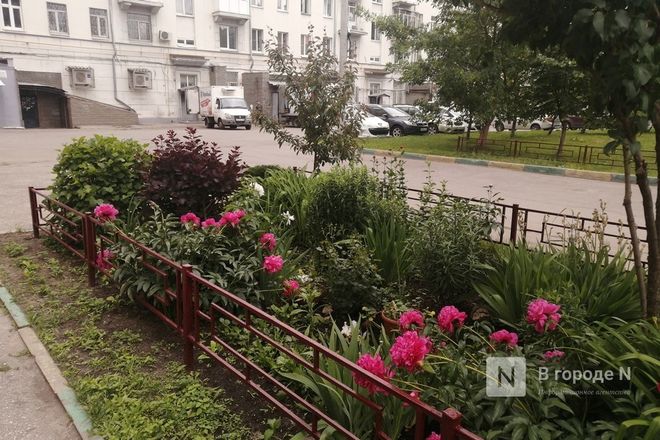 Пять самых красивых дворов Автозавода показали нижегородцам - фото 5