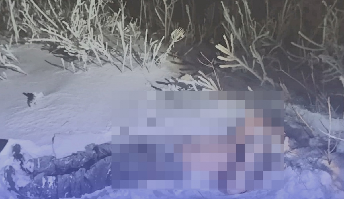 Мужчина насмерть замерз в Балахнинском районе - фото 1