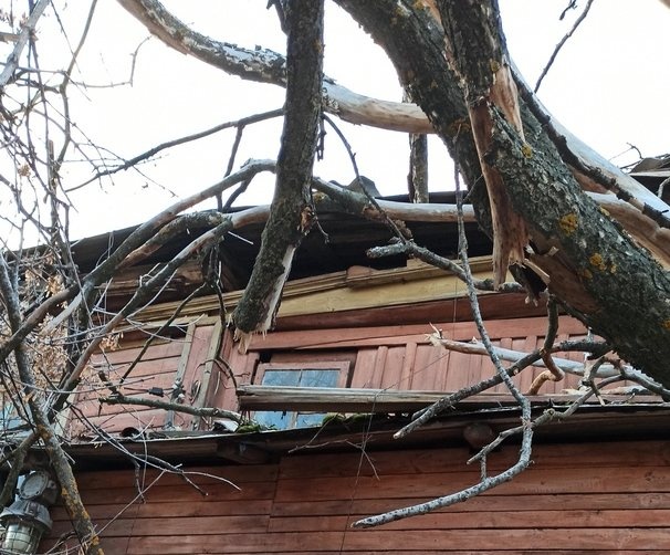 Упавшее дерево пробило крышу дома в центре Нижнего Новгорода - фото 1