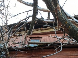 Упавшее дерево пробило крышу дома в центре Нижнего Новгорода