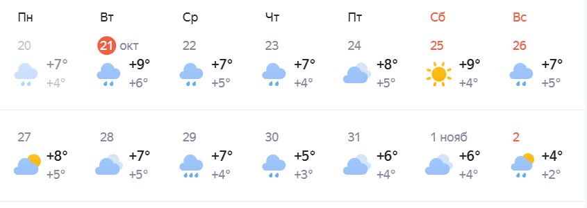 Опубликован прогноз погоды в Нижнем Новгороде на конец октября - фото 2