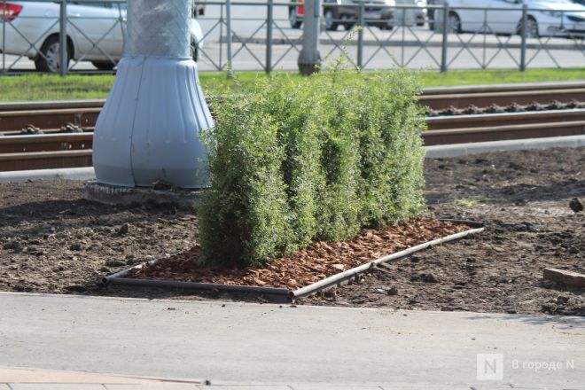 Благоустройство &ndash; 2025: как меняется площадь у Автозаводского универмага в Нижнем Новгороде - фото 66