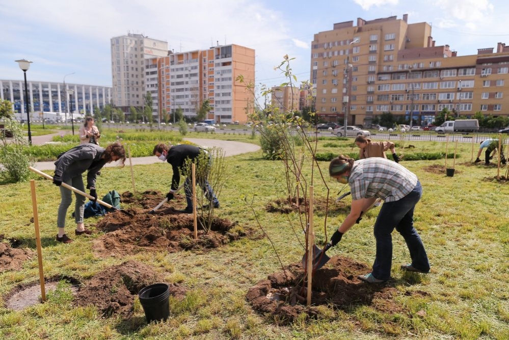 Площадь озеленения кварталов Нижнего Новгорода увеличится в два раза - фото 1