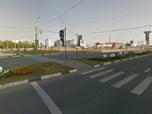 Нижегородцы собирают голоса в защиту «зебры» на Бетанкура