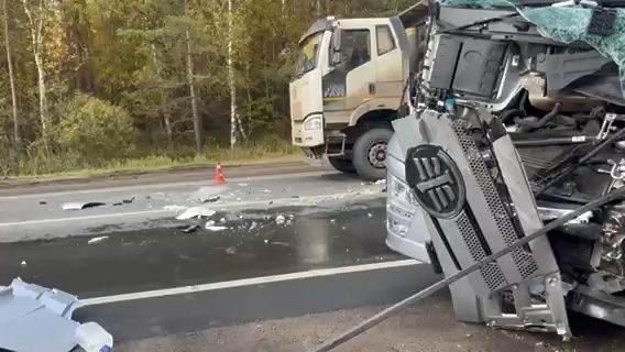 Авария с участием трех грузовиков случилась на трассе в Арзамасском районе - фото 5