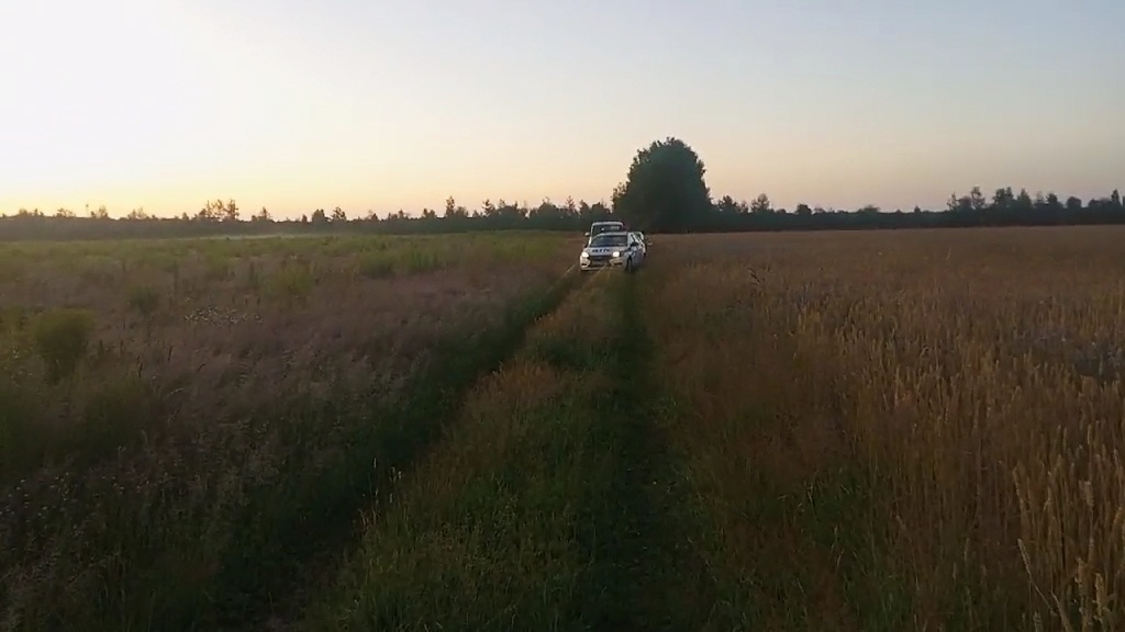 УАЗ раздавил лежащую в поле женщину в Нижегородской области