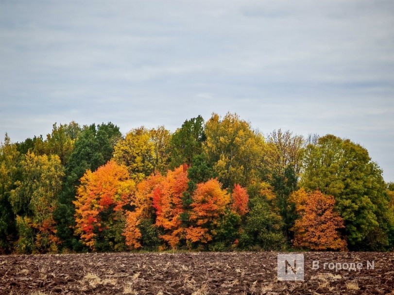 Нижегородцам показали, как выглядит пушкинская осень в Болдине - фото 11
