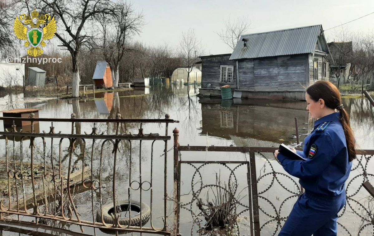 Жители Нижегородской области страдают от последствий паводка - фото 1