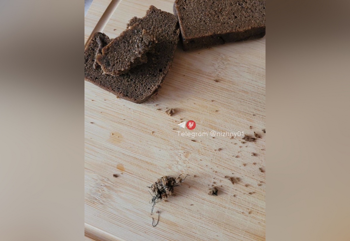 Нижегородец обнаружил металлическую губку в хлебе - фото 1