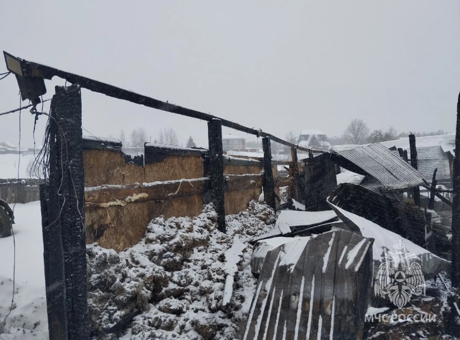 35 коров погибло во время пожара в Нижегородской области - фото 1