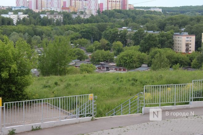 Шезлонги и места для пикников: что хотят видеть нижегородцы у Касьяновского оврага - фото 21