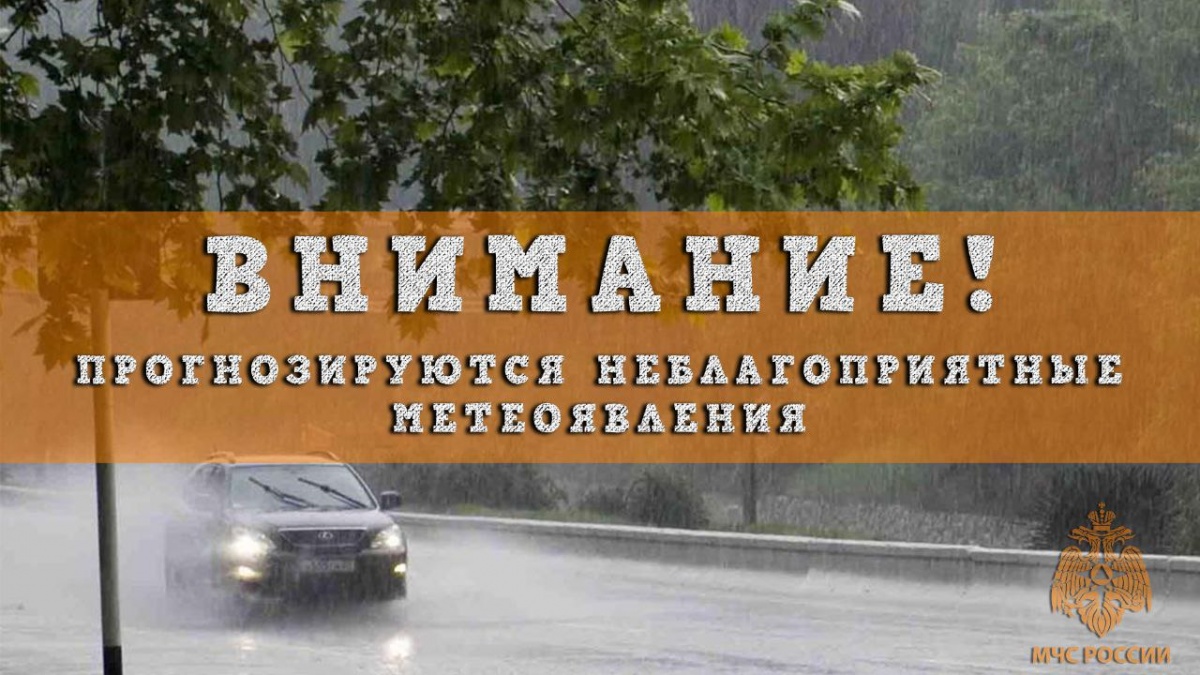 Сильные дожди и грозы обрушились в Нижнем Новгороде 29 июля - фото 1