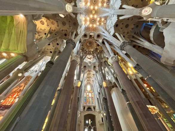 Морские гады, руины и потрясающий климат: вся правда о путешествии Барселона &mdash; Рим - фото 51