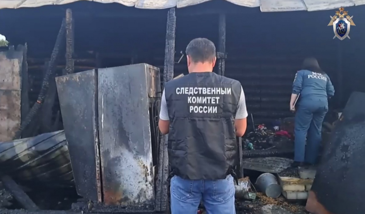 СК расследует гибель ребенка и мужчины на пожаре в Нижегородской области  - фото 1