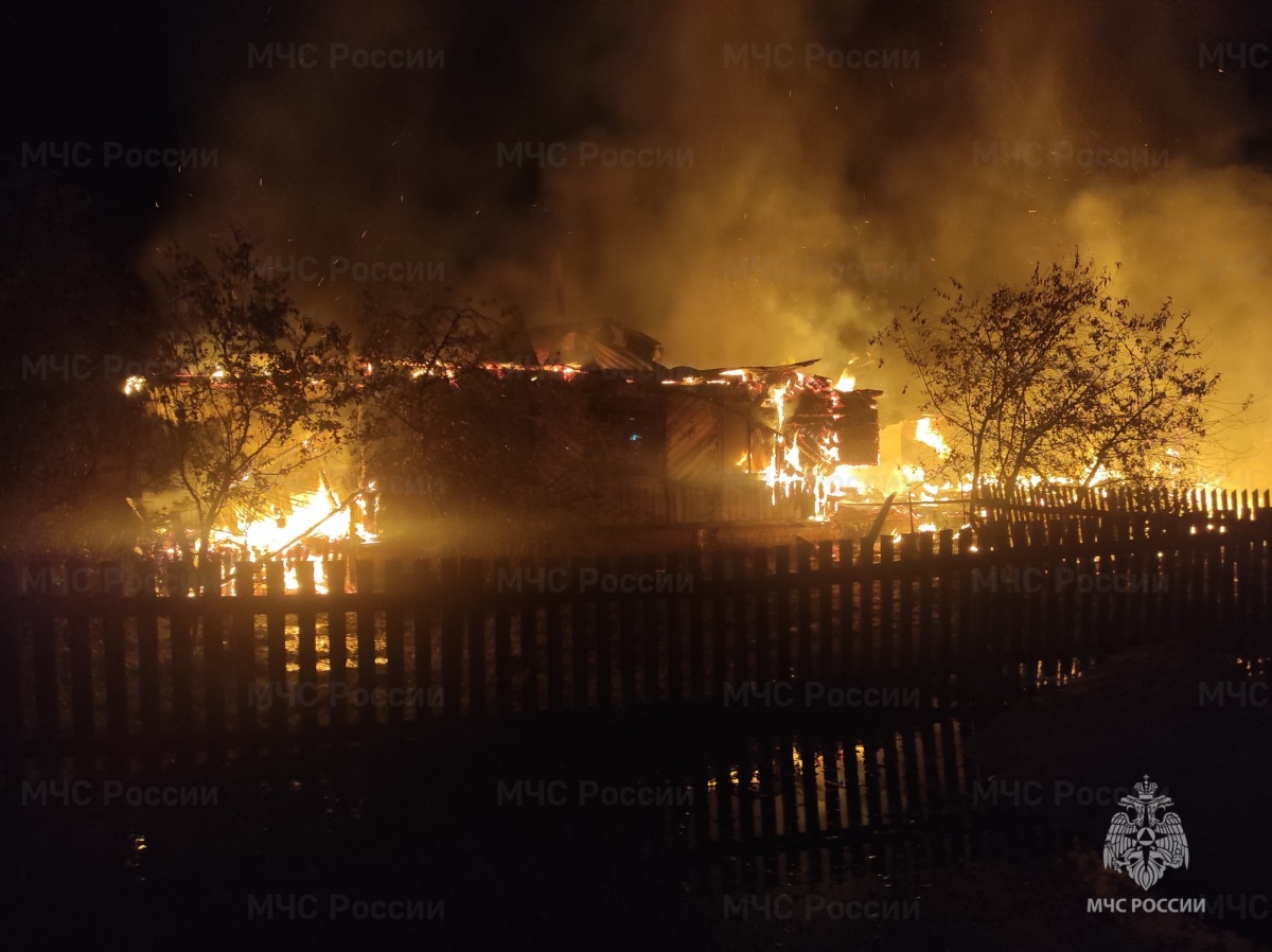 Три человека пострадали на пожаре в Воскресенском округе - фото 1