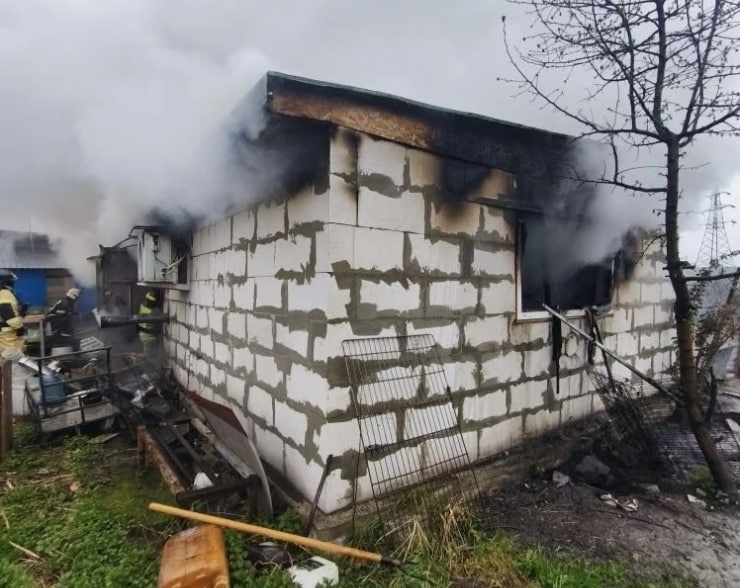 Прокуратура заинтересовалась гибелью 200 собак на пожаре в Нижнем Новгороде - фото 1