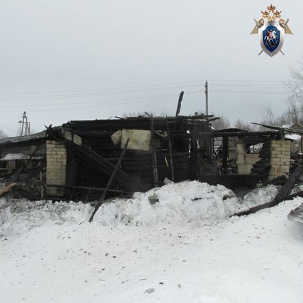 СК ведет проверку по факту гибели пенсионеров на пожаре в Балахнинском районе - фото 3