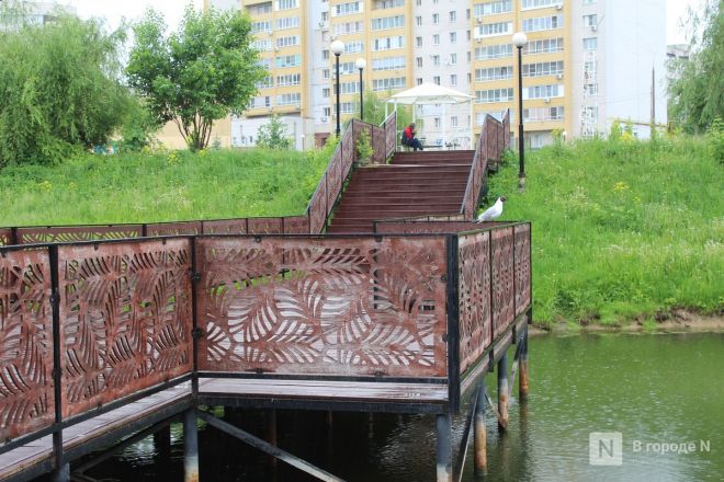 Год под крылом Нижнего Новгорода: как выглядит и чем привлекает Кстово — фоторепортаж - фото 104