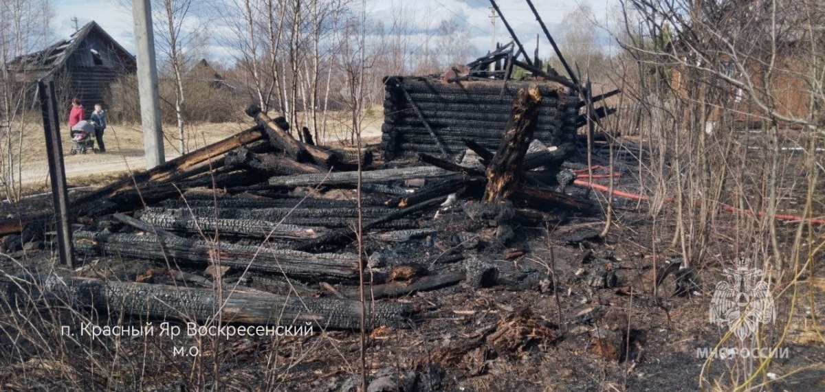 Два дома, бани и постройки сгорели в Нижегородской области из-за пала травы - фото 2