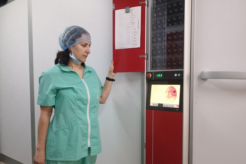 До 36 млн цыплят в год увеличена мощность инкубатора Павловской птицефабрики - фото 1