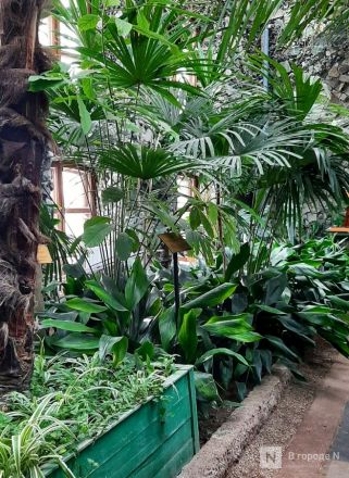 Бобры, костелы и закрытые музеи: плюсы и минусы отдыха в Белоруссии зимой - фото 56