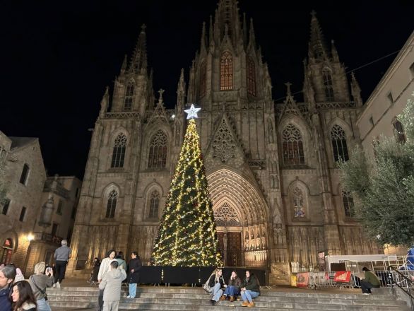 Морские гады, руины и потрясающий климат: вся правда о путешествии Барселона &mdash; Рим - фото 10