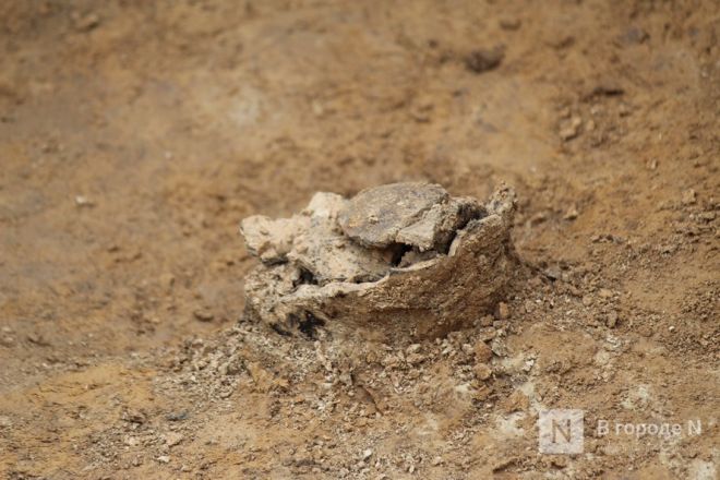 Проклятье мужчины с копьем: что обнаружили археологи под Вачей - фото 53