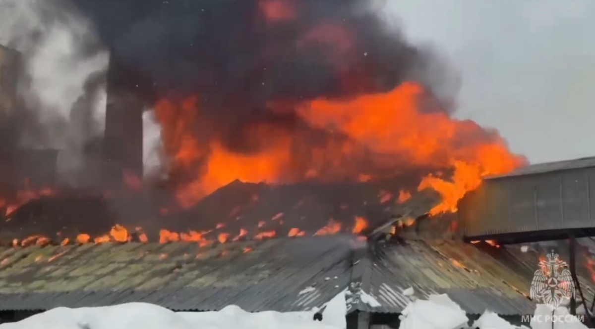 Опубликовано видео с места крупного пожара на складе в Нижегородской области - фото 1