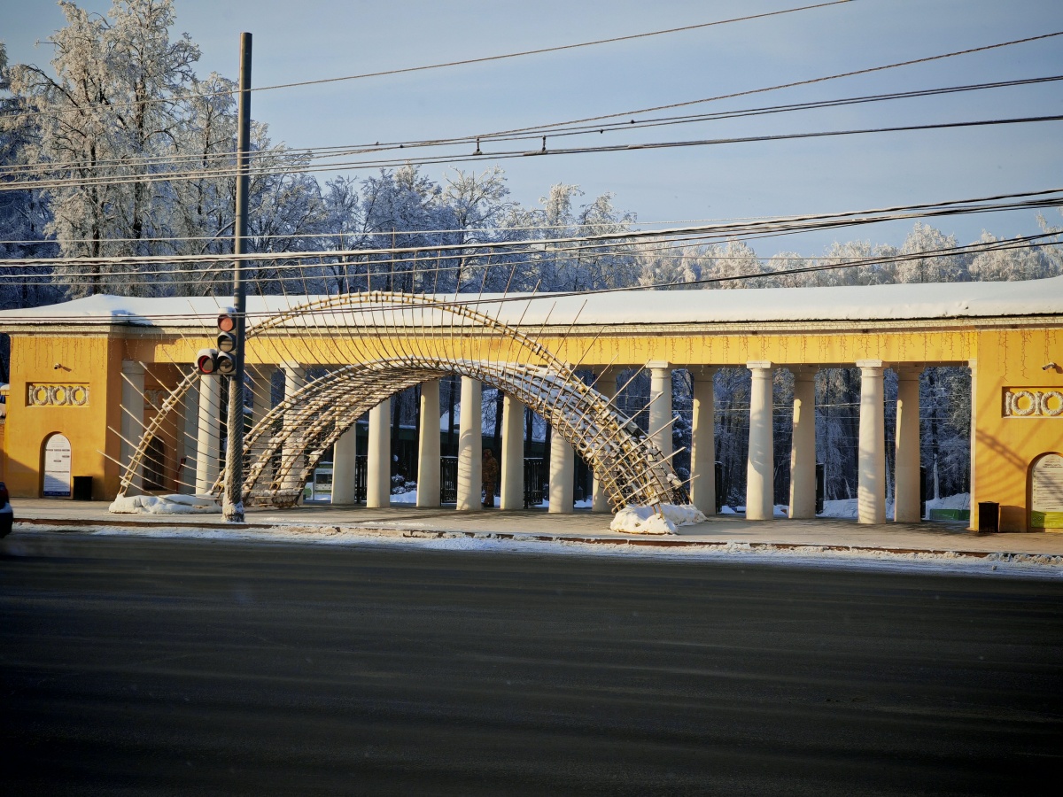 Аномальные морозы в Нижнем Новгороде: фоторепортаж из заснеженных парков - фото 1