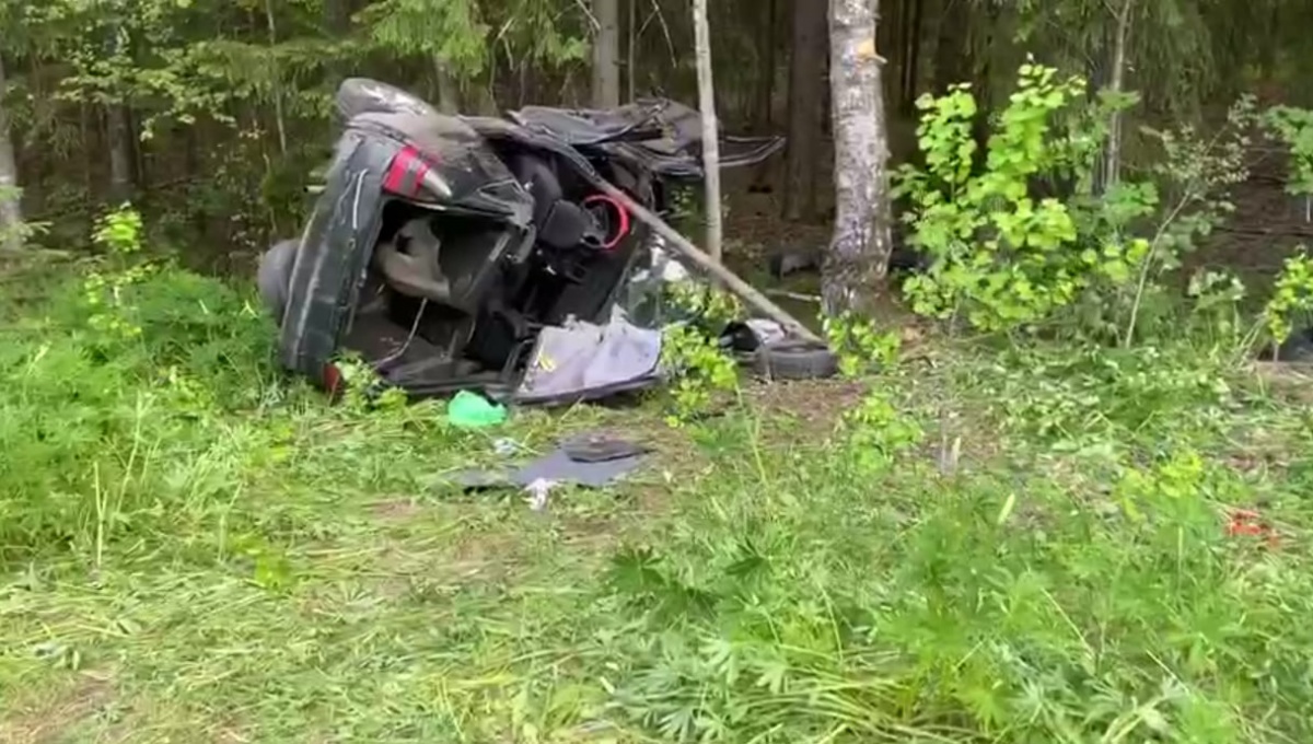 18-летний водитель и двое подростков попали в ДТП в Нижегородской области  - фото 1