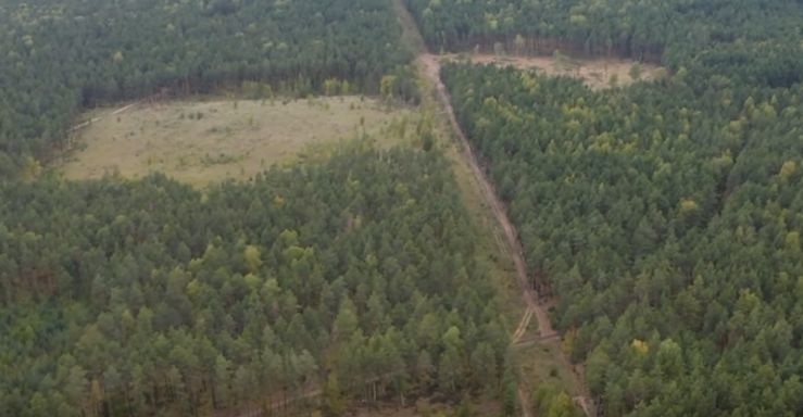 Нижегородский деплесхоз не выявил фактов сплошной вырубки деревьев на участке Михалкова