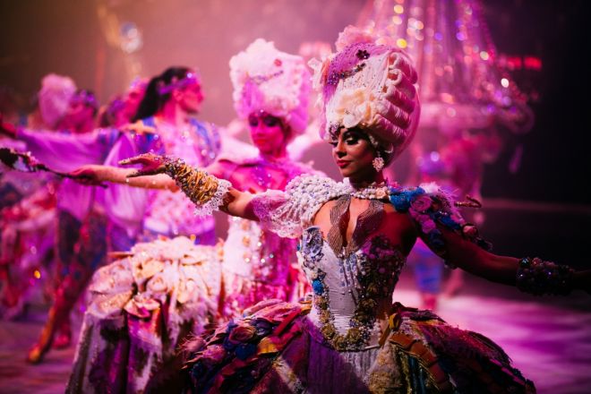 В Нижний Новгород едет Королевский цирк Гии Эрадзе - фото 5