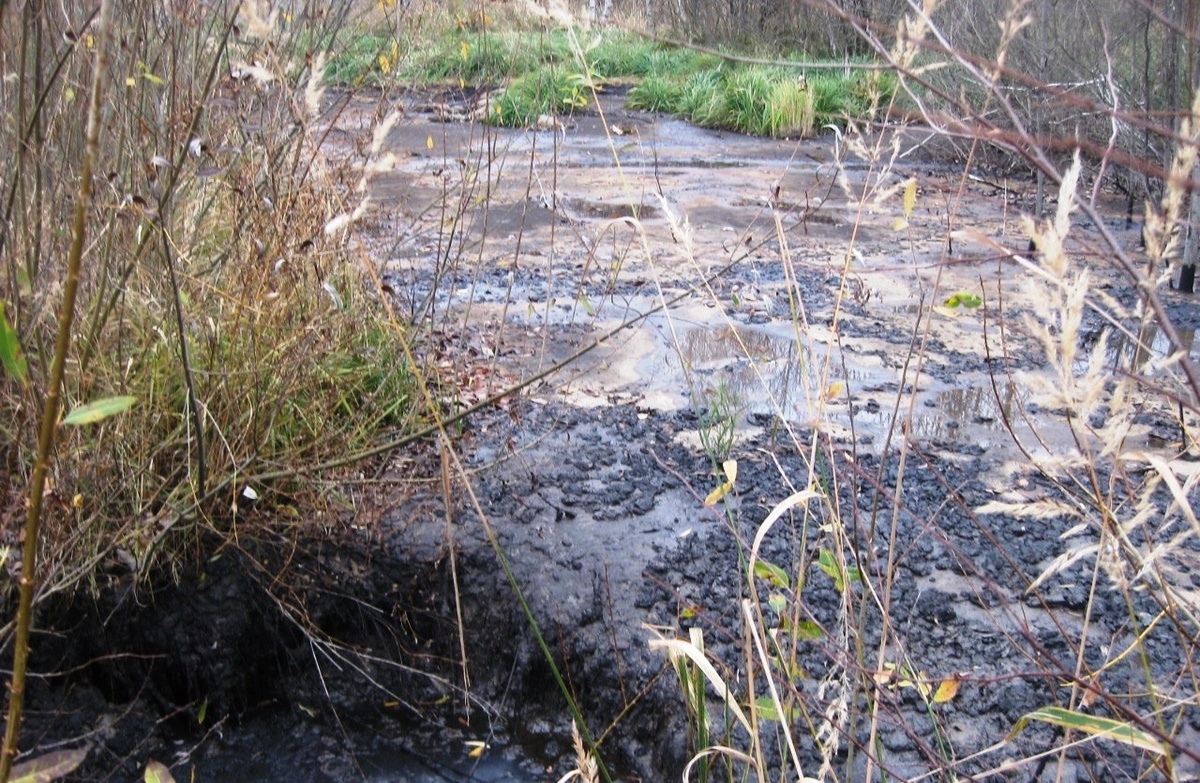 Суд оштрафовал РЖД за загрязнение почвы в Кстовском районе - фото 1